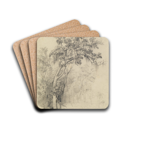 Im Urwald- Baumstudie by Ferdinand Keller Drink Coasters - set of 4