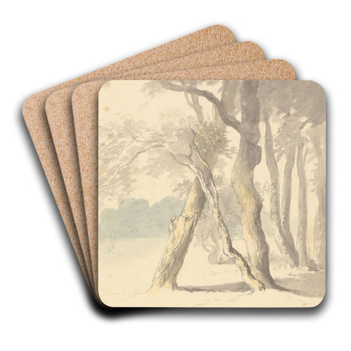 Woodland Study by Robert Hills Art Drink Coaster set