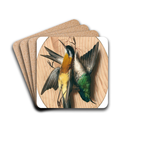Trompe l'oeil, songbirds by Michelangelo Meucci Drink Coasters - set of 4