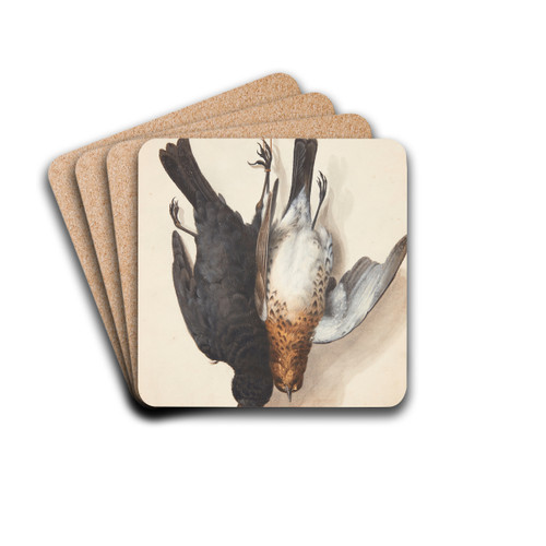 Studie af to dde solsorte, han og hun, ophngt i snor p en p en krog by Johanna Fosie Drink Coasters - set of 4