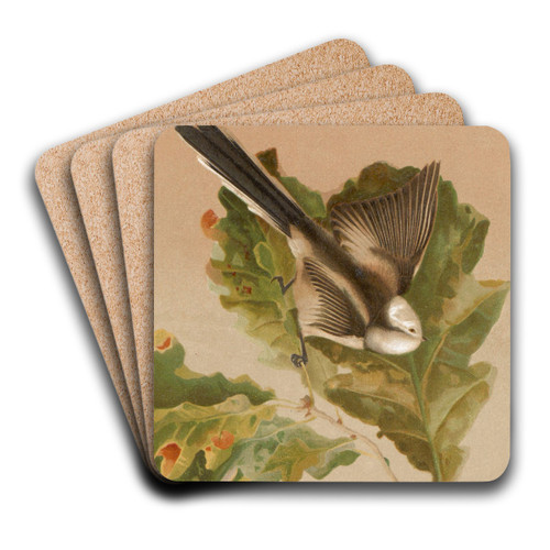 Msange a longue queue by Lo-Paul Robert Art Drink Coaster set Msange a longue queue by Lo-Paul Robert Art Drink Coaster set