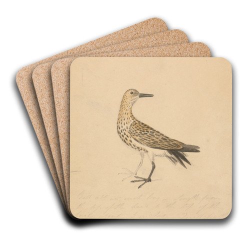 A Bird by James Sowerby Art Drink Coaster set A Bird by James Sowerby Art Drink Coaster set