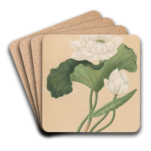 East Indian Lotus (Nelumbo nucifera) by British 19th Century Art Drink Coaster set