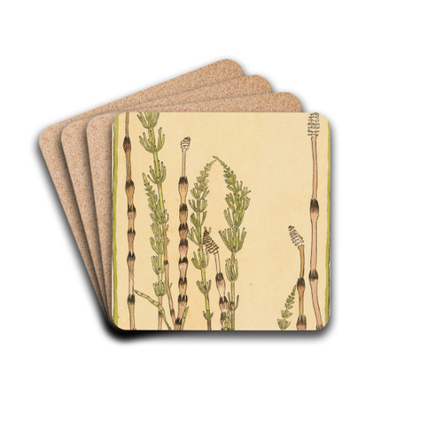 Horsetail by Hannah Borger Overbeck Drink Coasters - set of 4