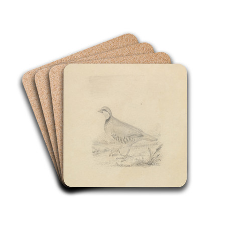 A Quail by James Sowerby Drink Coasters - set of 4 A Quail by James Sowerby Drink Coasters - set of 4