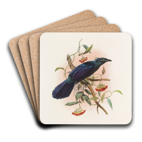Manucodia Keraudreni by Daniel Giraud Elliot Art Drink Coaster set Manucodia Keraudreni by Daniel Giraud Elliot Art Drink Coaster set