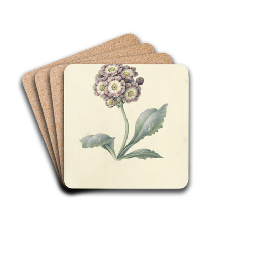 Bloemenstudie by Maria Margaretha van Os Drink Coasters - set of 4