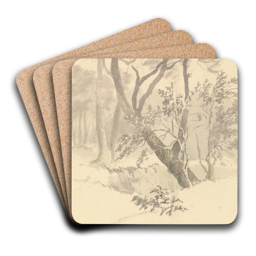 The Wood by Robert Hills Art Drink Coaster set