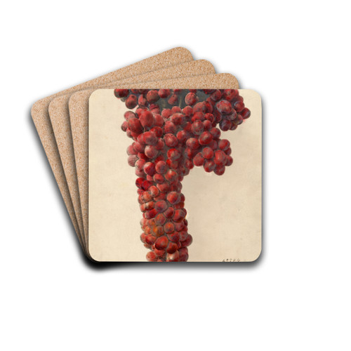 Vitis: Sultanina Rosea by Deborah Griscom Passmore Drink Coasters - set of 4