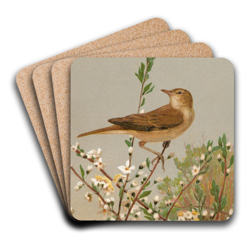 Fauvette des jardins by Lo-Paul Robert Art Drink Coaster set