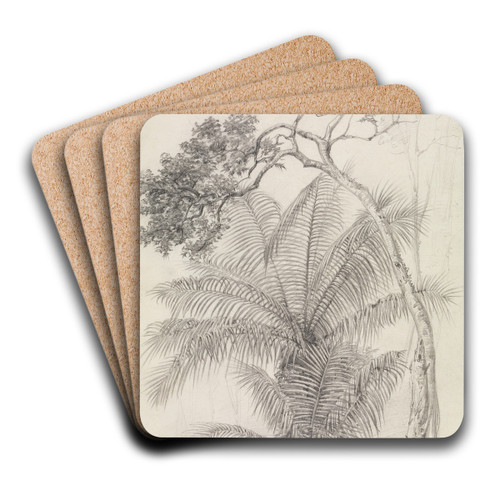 Palmen- und Baumstudie by Ferdinand Keller Art Drink Coaster set