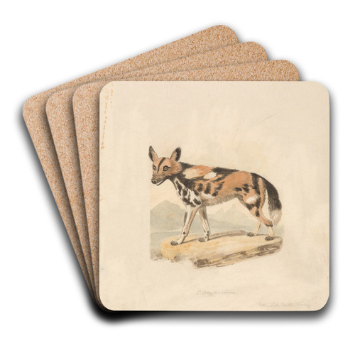 Abyssinian Dog by Samuel Howitt Art Drink Coaster set