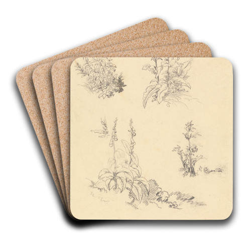 Study of Foxgloves by Robert Hills Art Drink Coaster set