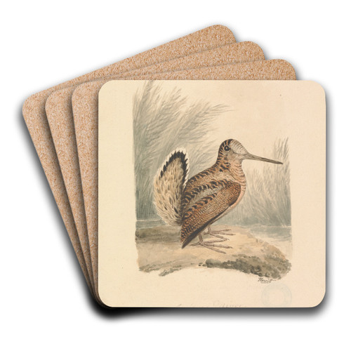 A Woodcock by Samuel Howitt Art Drink Coaster set