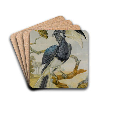 A Hornbill And Another Bird On A Branch by Circle of Aert Schouman Drink Coasters - set of 4 A Hornbill And Another Bird On A Branch by Circle of Aert Schouman Drink Coasters - set of 4