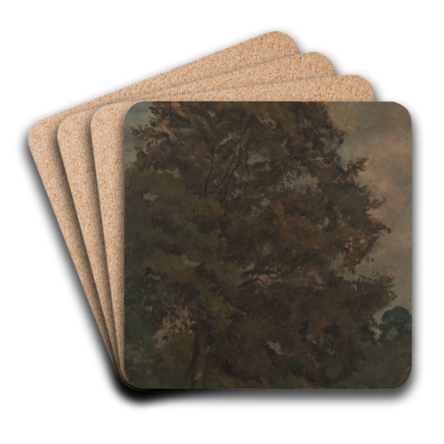 Study of an Ash Tree by Lionel Constable Art Drink Coaster set