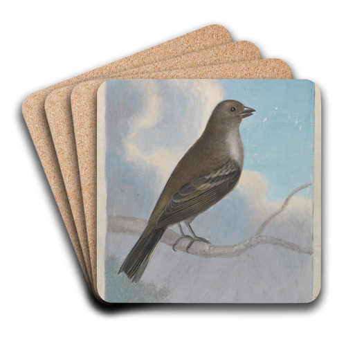 A Bird by James Sowerby Art Drink Coaster set