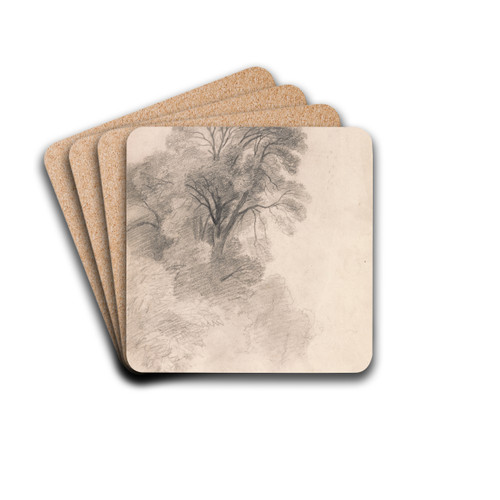 Study of Ash Trees by Lionel Constable Drink Coasters - set of 4