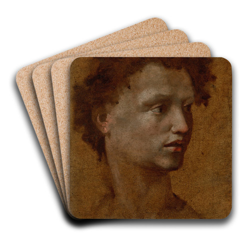 Head of a Youth by Domenico Beccafumi Art Drink Coaster set
