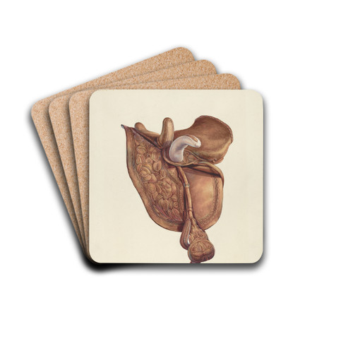Saddle by Hal Blakeley Drink Coasters - set of 4