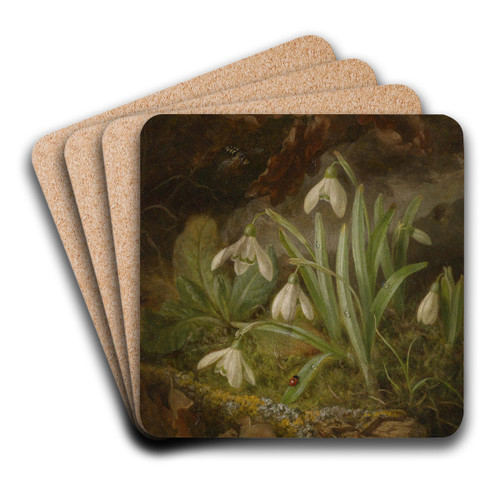 Waldbodenstck mit Schneeglckchen by Josef Lauer Art Drink Coaster set