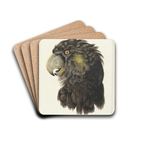 Head of a Cockatoo by Aert Schouman Drink Coasters - set of 4