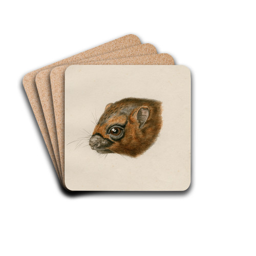 Head of a polecat by Floris Verster Drink Coasters - set of 4 Head of a polecat by Floris Verster Drink Coasters - set of 4