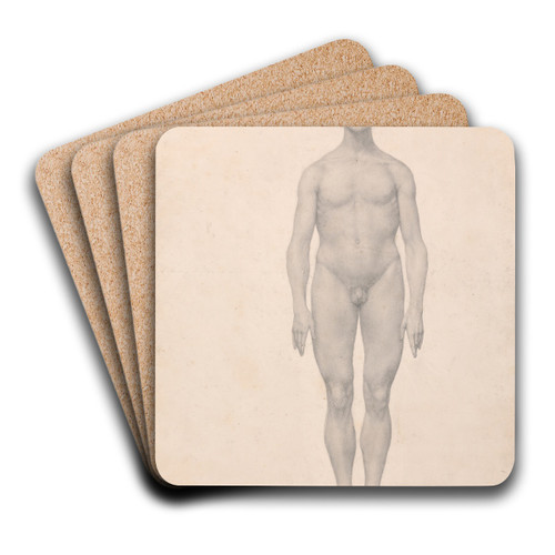 Human Figure, Anterior View, Undissected by George Stubbs Art Drink Coaster set