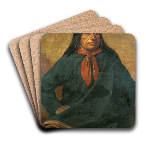 Spotted Tail by Henry Ulke Art Drink Coaster set