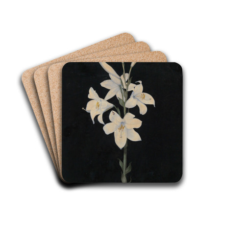 Lilienstengel auf schwarzem Grund by Georg Philipp Schmitt Drink Coasters - set of 4