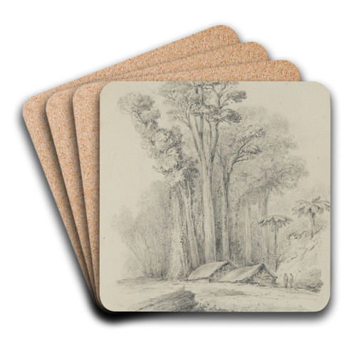 Wirinaki Station by William Swainson Art Drink Coaster set