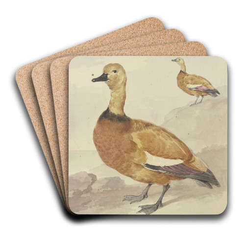 Two red ducks by Aert Schouman Art Drink Coaster set Two red ducks by Aert Schouman Art Drink Coaster set