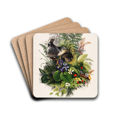 Birds by Olive E Whitney Drink Coasters - set of 4