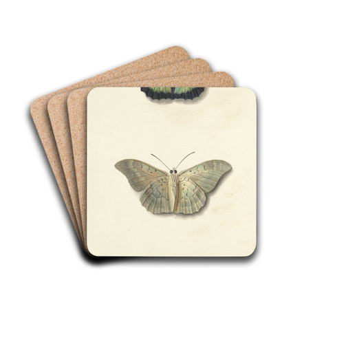 Boven- en onderaanzicht van een vlinder by Georgius Jacobus Johannes van Os Drink Coasters - set of 4 Boven- en onderaanzicht van een vlinder by Georgius Jacobus Johannes van Os Drink Coasters - set of 4