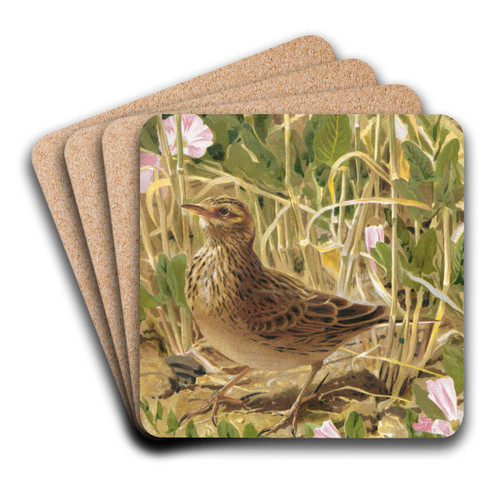 Alouette by Lo-Paul Robert Art Drink Coaster set