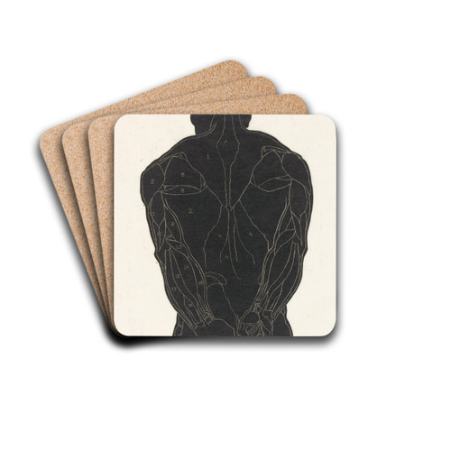 Anatomische studie van de rugspieren van een man in silhouet by Reijer Stolk Drink Coasters - set of 4 Anatomische studie van de rugspieren van een man in silhouet by Reijer Stolk Drink Coasters - set of 4