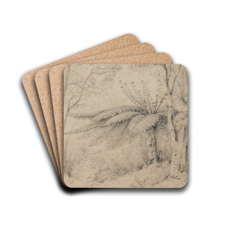 Silver fern, Stokes Valley, 1847, Lower Hutt by William Swainson Drink Coasters - set of 4
