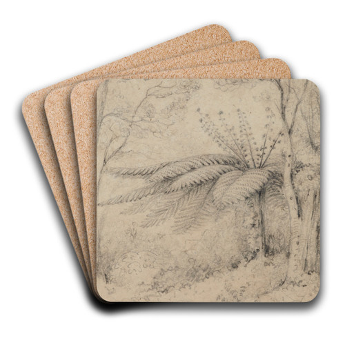 Silver fern, Stokes Valley, 1847, Lower Hutt by William Swainson Art Drink Coaster set