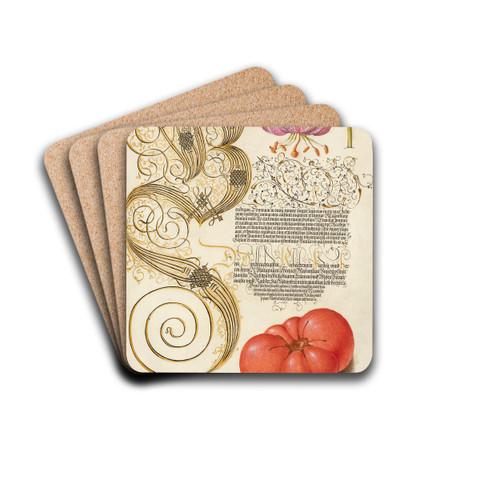 Martagon Lily and Tomato by Joris Hoefnagel Drink Coasters - set of 4