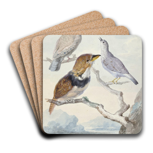 Drie vogels, twee Incaduiven en een gekraagde baardkoekoek by Aert Schouman Art Drink Coaster set
