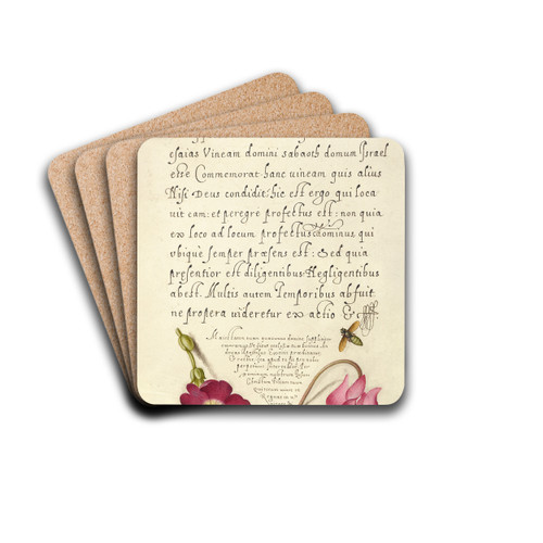 Insect, Balkan Primrose, and Alpine Violet by Joris Hoefnagel Drink Coasters - set of 4