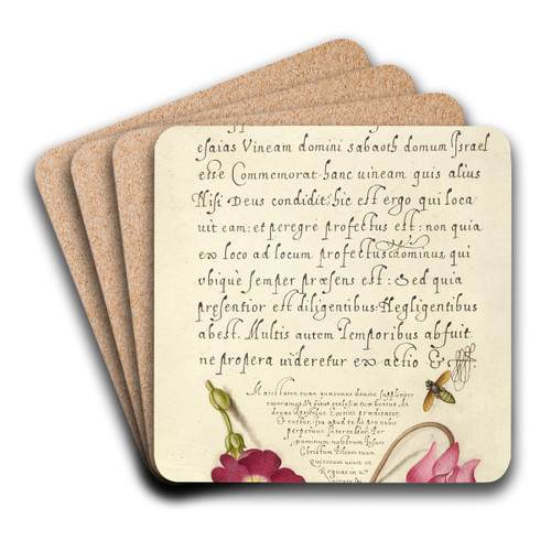 Insect, Balkan Primrose, and Alpine Violet by Joris Hoefnagel Art Drink Coaster set