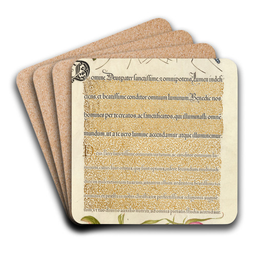 Crested Crane Fly, Insect, and French Rose by Joris Hoefnagel Art Drink Coaster set