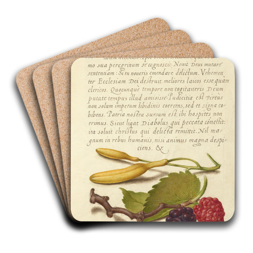 Hyacinth, Black Mulberry, and Caterpillar by Joris Hoefnagel Art Drink Coaster set