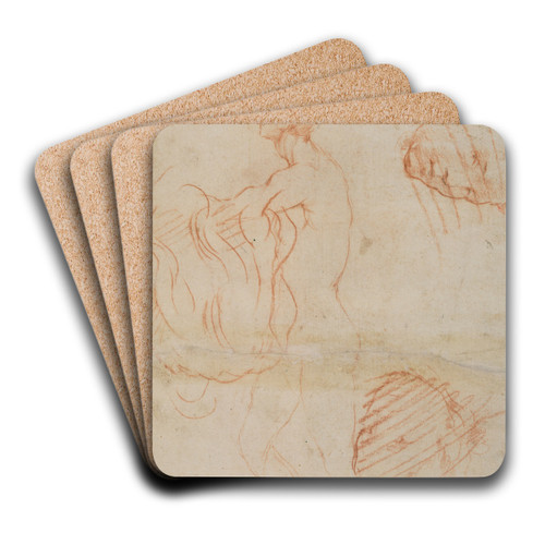 Figure Study and Face by Andrea del Sarto Art Drink Coaster set