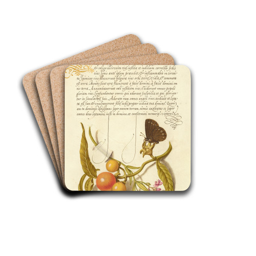 Ringlet, False Jerusalem Cherry, and Milkwort by Joris Hoefnagel Drink Coasters - set of 4