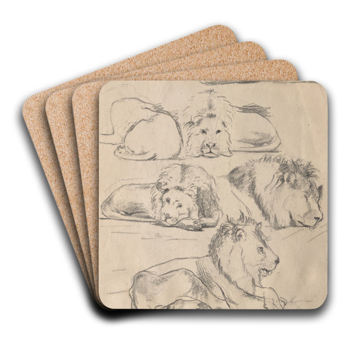 Studies ofLions by John Haberle Art Drink Coaster set