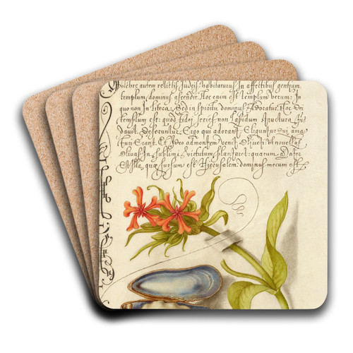 Maltese Cross, Mussel, and Ladybird by Joris Hoefnagel Art Drink Coaster set