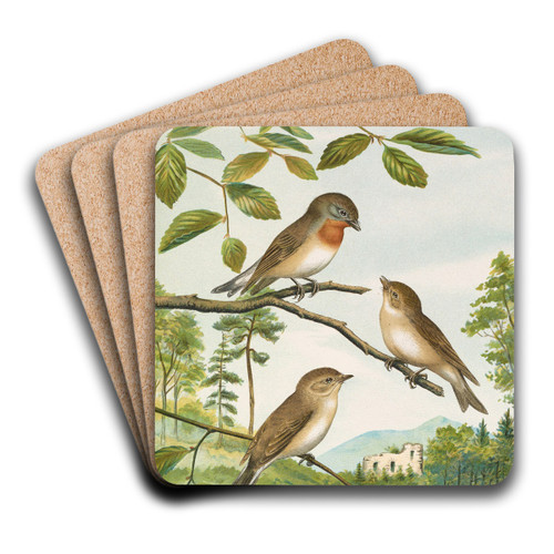 Muscicapa parva Bechst by Johann Friedrich Naumann Art Drink Coaster set Muscicapa parva Bechst by Johann Friedrich Naumann Art Drink Coaster set