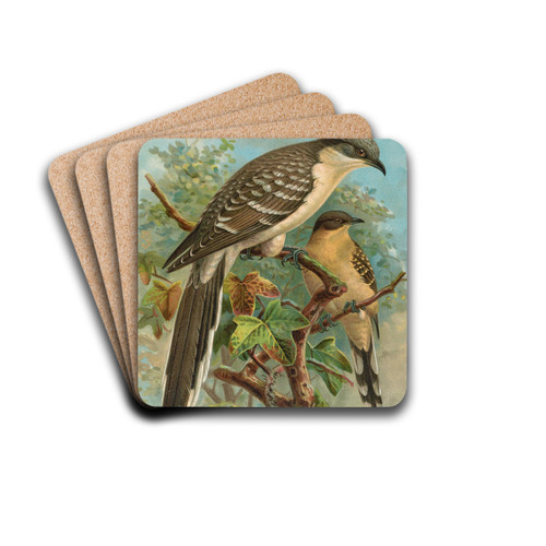 Coccystes glandarius by Johann Friedrich Naumann Drink Coasters - set of 4 Coccystes glandarius by Johann Friedrich Naumann Drink Coasters - set of 4